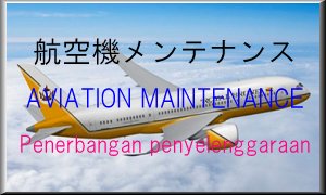 Aviation maintenance