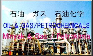 OIL GAS PETROCHEMICALS