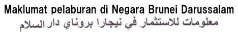 The information of investmemnt in Negara Brunei Darussalam